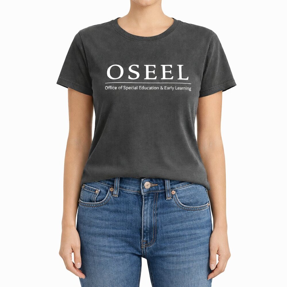 3/$20 Bundle 🌈District Perfect Weight OSEEL Graphic T-Shirt Charcoal Gray